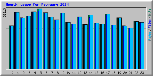 Hourly usage for February 2024