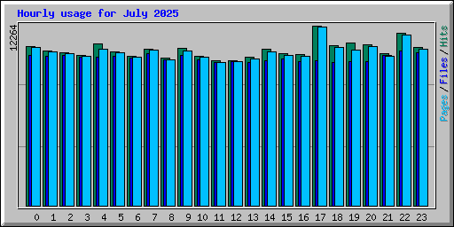 Hourly usage for July 2025