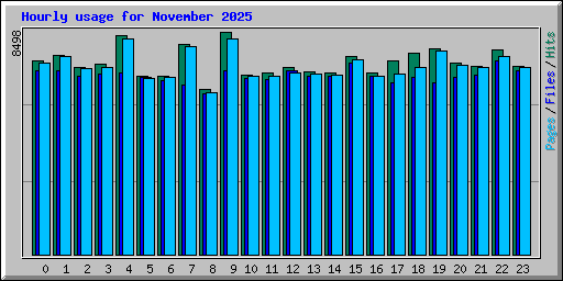 Hourly usage for November 2025