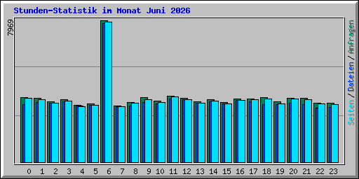 Stunden-Statistik im Monat Juni 2026